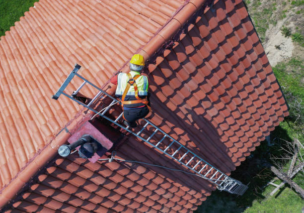 Best Asphalt Shingles Roofing  in Eddington, PA